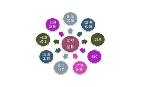 深入解析SEO优化：策略、技巧与案例分析